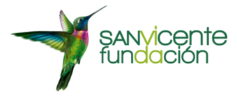 San Vicente Fundación
